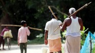 In UP’s Bahraich, villagers cry wolf – only, the fear is real