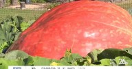 Fond du Lac farmer wins giant pumpkin competition with 2,491