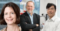 Tres científicos reciben el Nobel de Medicina 2025