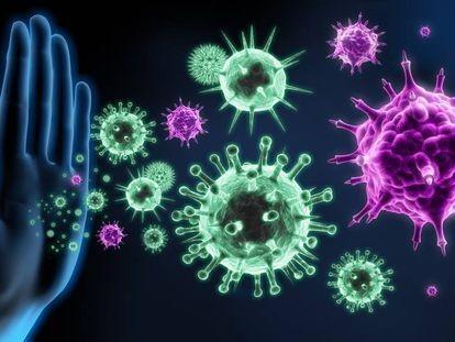 El Nobel de Medicina reconoce los descubrimientos sobre cómo se regula el sistema inmune