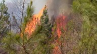 Fire danger on the rise across South Carolina due to dry, windy conditions