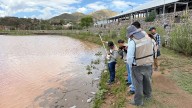 Alerta de dengue: Lluvias aumentan el riesgo de br...