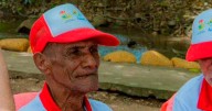 Falleció adulto mayor atacado por abejas africanizadas
