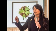 Cannabis fund use up for debate at Carroll hearing