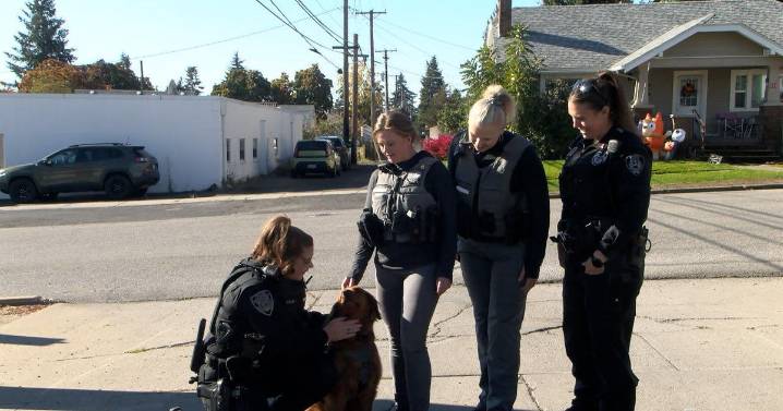 Police and mental health professionals teaming up to respond to crisis situations in West Plains