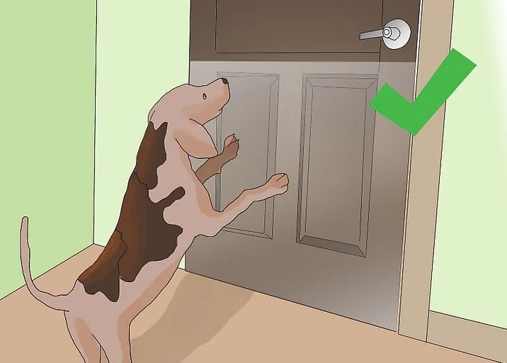 ¿Cómo proteger las puertas de los arañazos de perro?