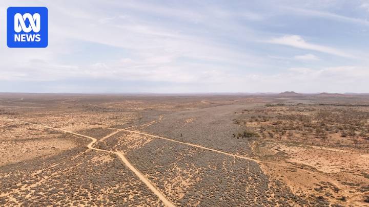 Search for Gus expected to continue in soaring heat