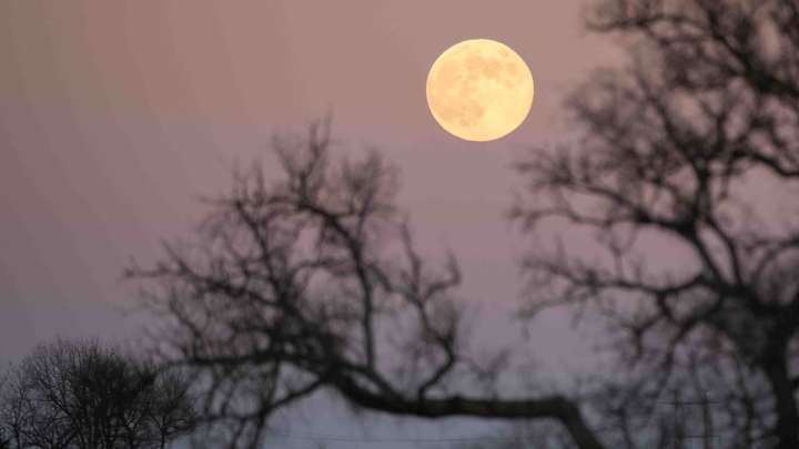Beaver moon will rise in November. What to know about the supermoon and 'moon illusion'