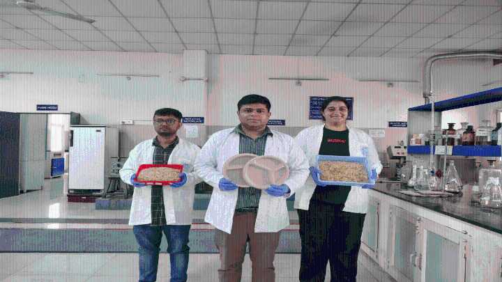 IIT Roorkee creates eco-friendly tableware from wheat straw, fights pollution and helps farmers