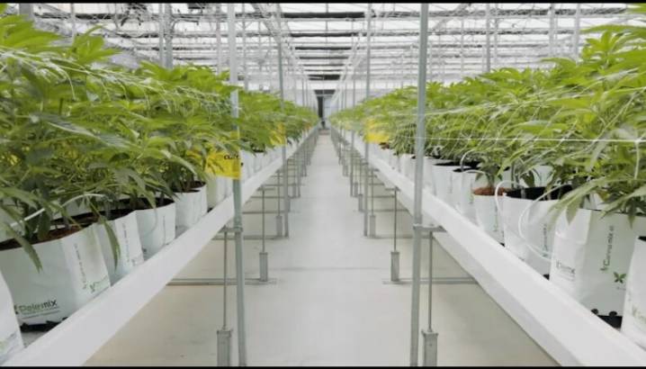 Kentucky's second medical cannabis cultivator approved to open in Madison Co.