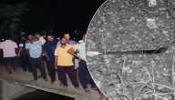Betel Shopkeeper Found Murdered In Jagatsinghpur, Probe Underway