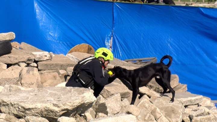 Search and rescue teams travel to Lincoln to get dogs FEMA