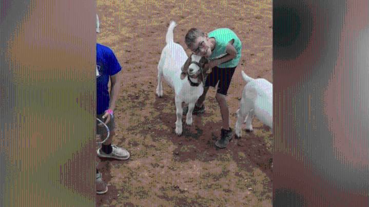 Arkansas boy with terminal illness finds strength in show ring
