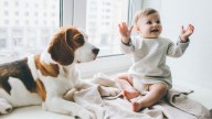 El perro es un aliado inesperado para la salud del bebé