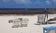 Tulum enfrenta crisis turística: comerciantes piden disculpas por malos tratos y precios excesivos