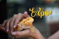 Low Cost Family Friendly Reptile Show Coming to Evansville