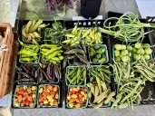 From sailors to CSA shares: Staten Island farm’s 180