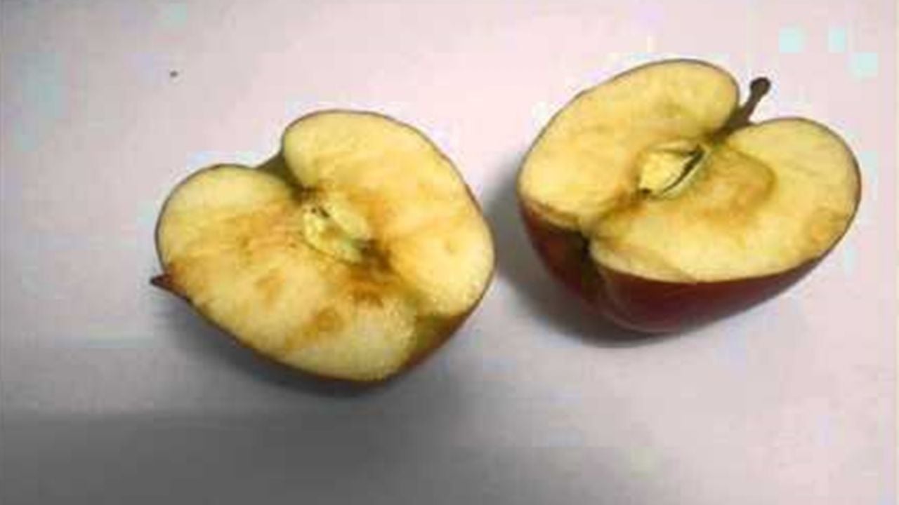Por qué se oxida la manzana y cómo evitarlo con un truco casero sin cambiar su sabor