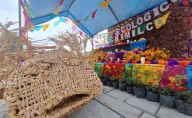 Celebrarán Día de Muertos en el Parque Ecológico de Xochimilco y el Museo Chinampaxóchitl