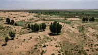 La reforestación de China ya equivale a casi dos veces España: así lo consiguen