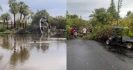 Phoenix Zoo temporarily closed following storm damage during Monday's severe storm