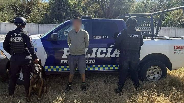 Binomio canino ayudó a la detención de un presunto distribuidor de droga en León