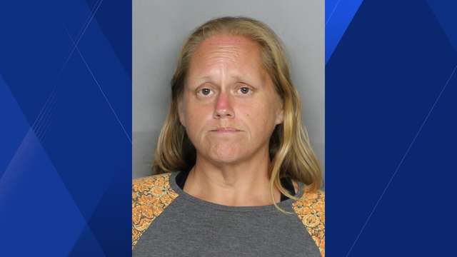 Punta Gorda woman accused of stealing motorized Publix shopping cart