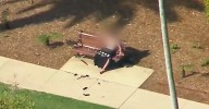 Brisbane Botanic Gardens: Shirtless man sitting on a park bench arrested after three