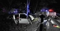 Truck splits in half after hitting tree head-on in Clay City, driver walks away with no injuries