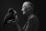 Muere Jane Goodall, la mujer que dedicó su vida al estudio de los chimpancés
