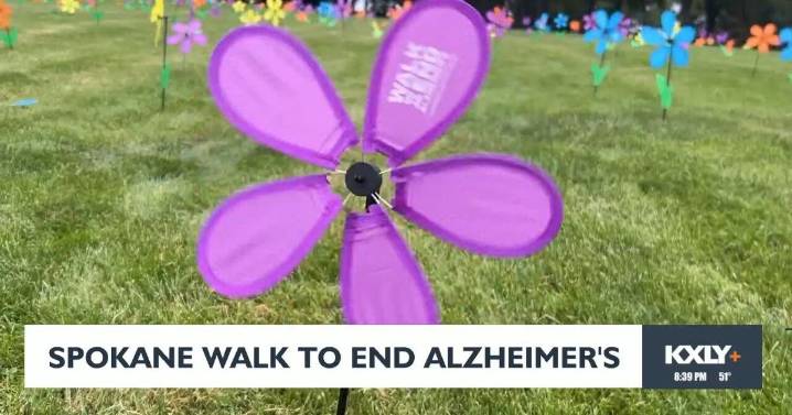 Hundreds gather in Riverfront Park for Walk to End Alzheimer's