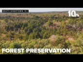 Advocates disagree over Great Swamp Wildlife Management Area tree removal