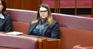 Meta, TikTok no-shows at inquiry into social media ban