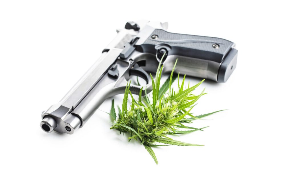 Florida guns and pot lawsuit put on hold