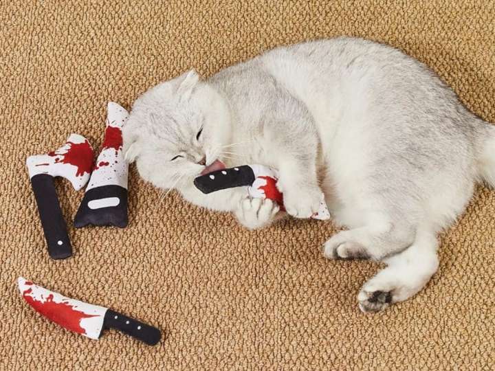 Over 9,000 Pet Parents Bought This $8 4-Pack of Toys That Lets Your ‘Feline Live Out Their Tiny, Adorable Assassin Fantasies’