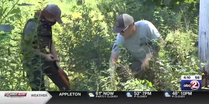 Green Bay Conservation Corps expands with roving crew program