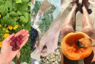 Influencer muere a los 27 años por “comer frutas”