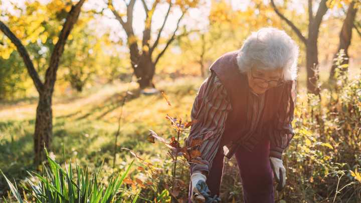 How To Know When It's Officially Too Late To Plant Anything In The Fall
