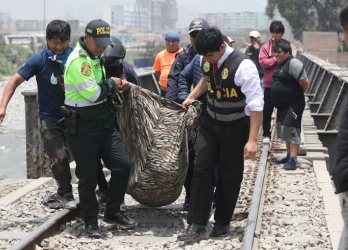 Hallan cadáveres maniatados en Santa Clara