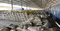 'Sell' Sagar Cements Shares Maintains Dolat Capital Post Muted Q2 Results, Revises Target Price