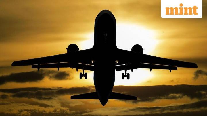 Festive season: DGCA reviews rising fares, asks airlines to add more flights