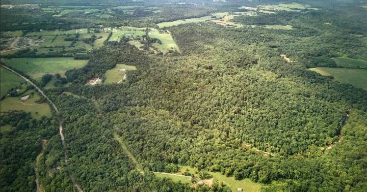 Oldham County considers buying 225 acres near Buckner for new public park