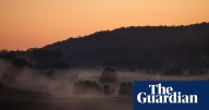 Bitter fruit: the dark underside of the booming NSW blueberry industry