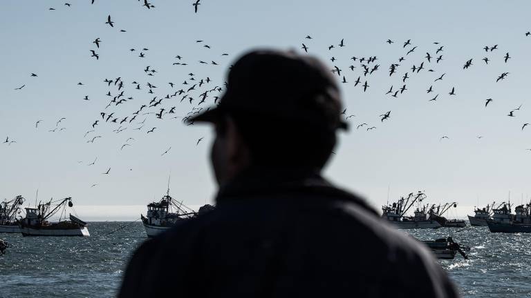 Piratas de Ecuador y Perú: el brazo logístico del narcotráfico detrás de las extorsiones a pescadores artesanales