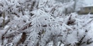 First widespread frost expected across Quad Cities area
