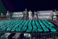 Decomisa Sedena más de una tonelada de droga oculta entre cajas de chile en Sonora