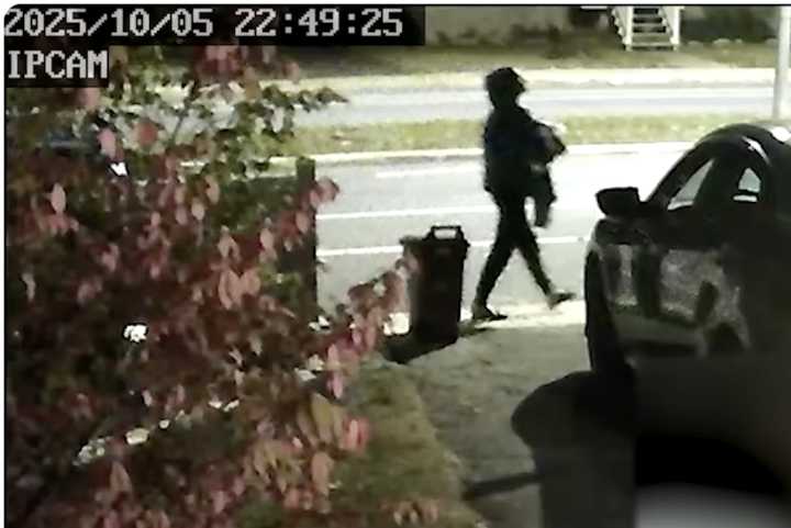 Longueuil police release video of 'person of interest' in abandoned baby case