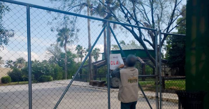 Retiran cierre preventivo a La Pastora; zoológico avanza en medidas correctivas