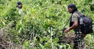 Maoists torch another mobile tower during ‘Resistance Week’ in Jharkhand’s Saranda jungles