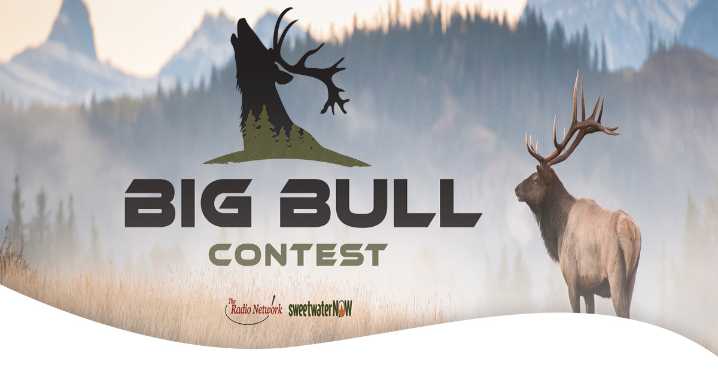 It’s Time for TRN Media’s Annual Big Bull Contest